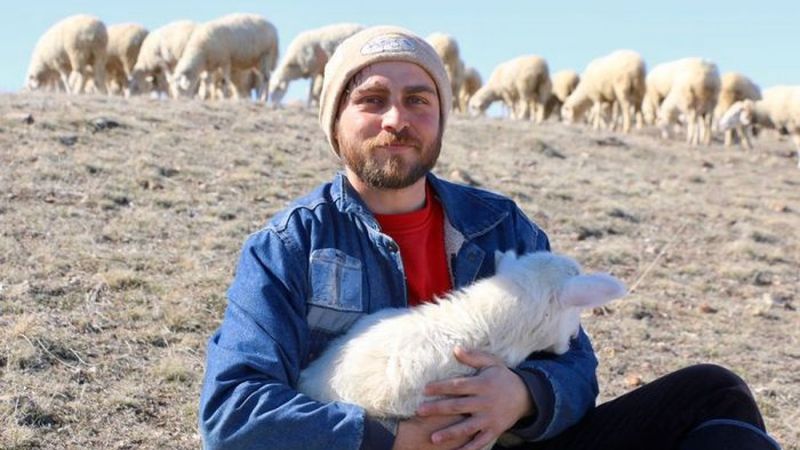 Eskişehirli genç avukat çobanlık mesleğini seçti
