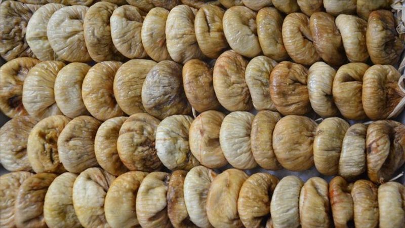 Kuru incir ihracatımız 158 milyon dolar