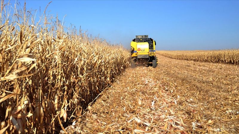 Tarım, bünyesindeki 10 sektörün 8'iyle ihracatta atağa kalktı