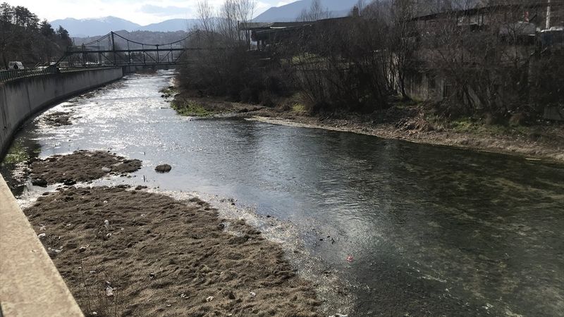 Karabük’te Araç Çayı’na kasalar dolusu ölü hamsi döküldü