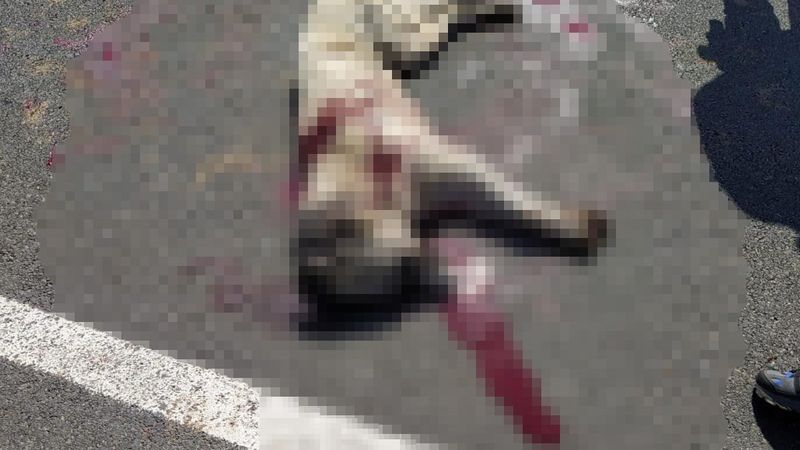 Bingöl’de düğün salonu önündeki köpeği tabancayla öldürdü