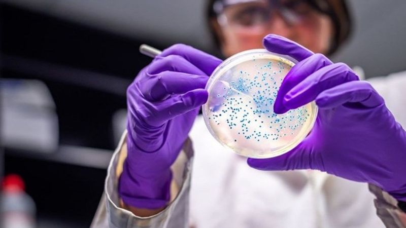 Japonya'da yeni koronavirüs varyantı tespit edildi