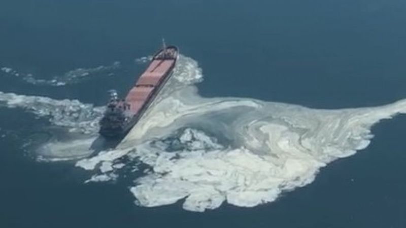 Gemlik Körfezi’nde kirlilik alarmı