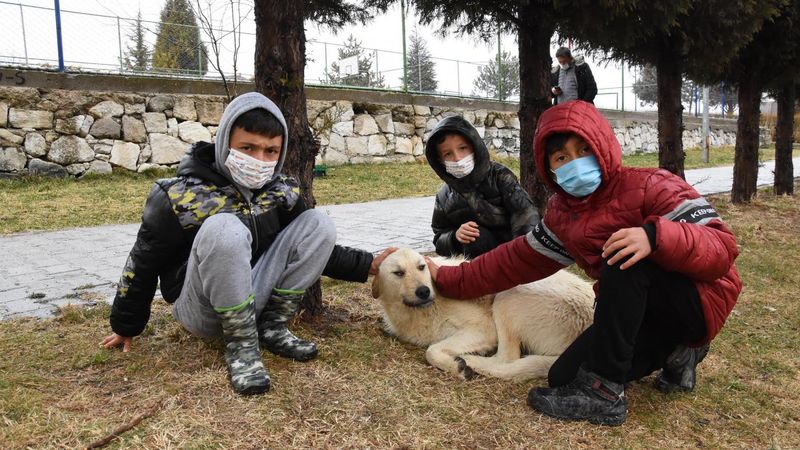 Kütahya’da köpeklerle oynayan 3 çocuğa tırmıkla saldıran hemşire tutuklandı