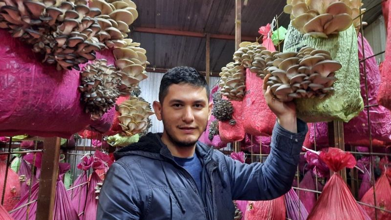 Afyonkarahisar’da internetten görerek başladığı mantar üretiminde başarıyı yakaladı