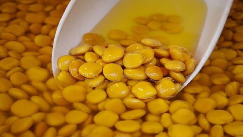 Et yemeyenler için alternatif besin: Termiye nedir, faydaları nelerdir?