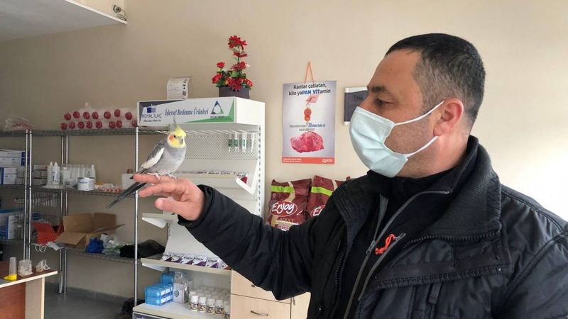 Sakarya'da papağan ıslık çalarak 'Türkiyem' şarkısını söylüyor