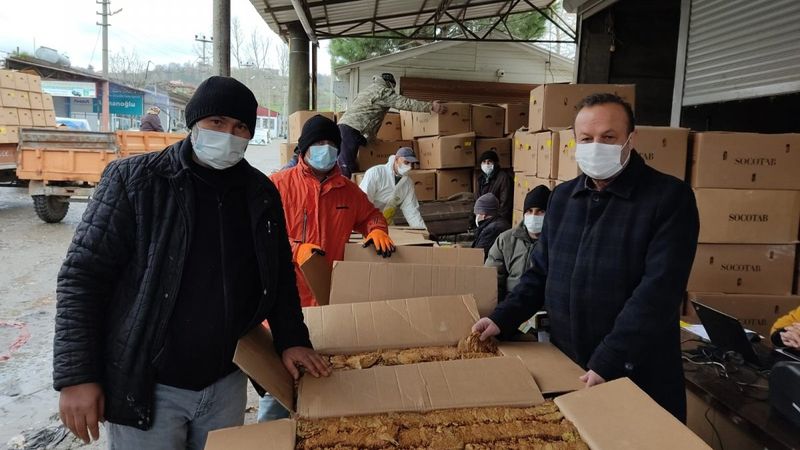 Samsun Alaçam’da tütün alımı başladı
