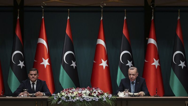 Cumhurbaşkanı Erdoğan'dan Libya'ya aşı desteği açıklaması