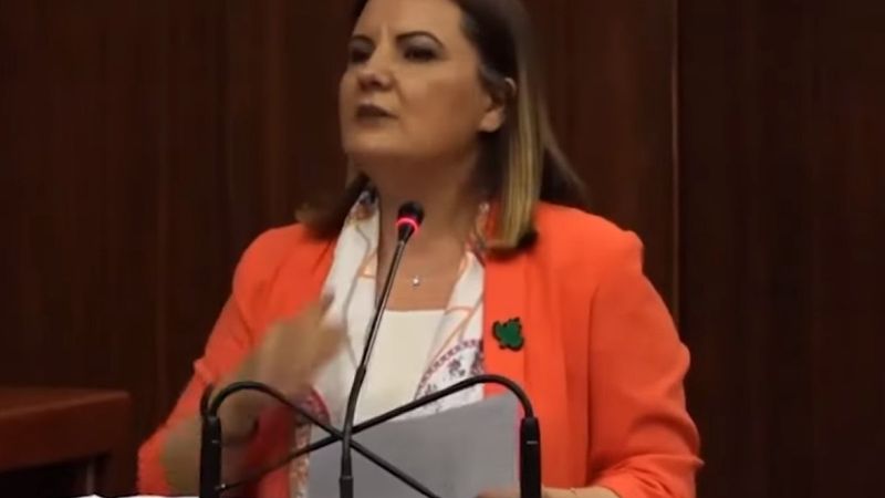 CHP'li Fatma Kaplan İzmit'e yaptırdığı heykelleri savundu