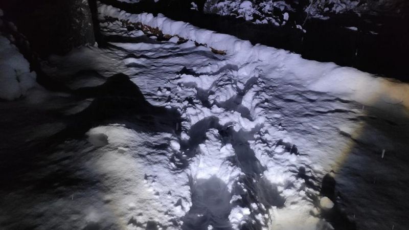 Kastamonu'da karda yürüyüp izini belli eden 4 hırsız yakalandı