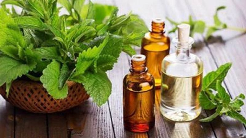 Paçuli yağı nedir? Paçuli yağının faydaları ve kullanımı