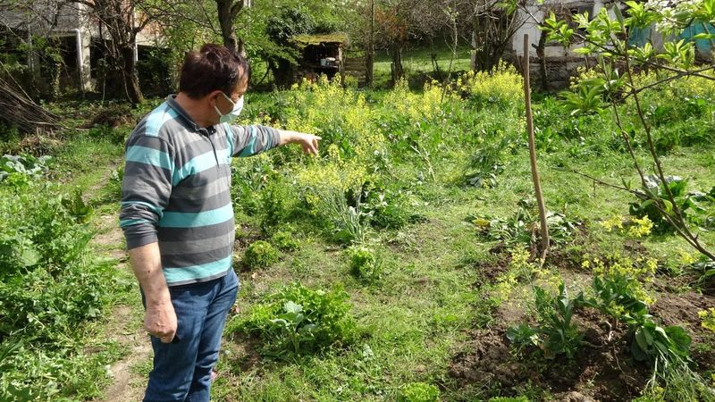 Samsun’da tarlada lahana toplayan eşini vurdu