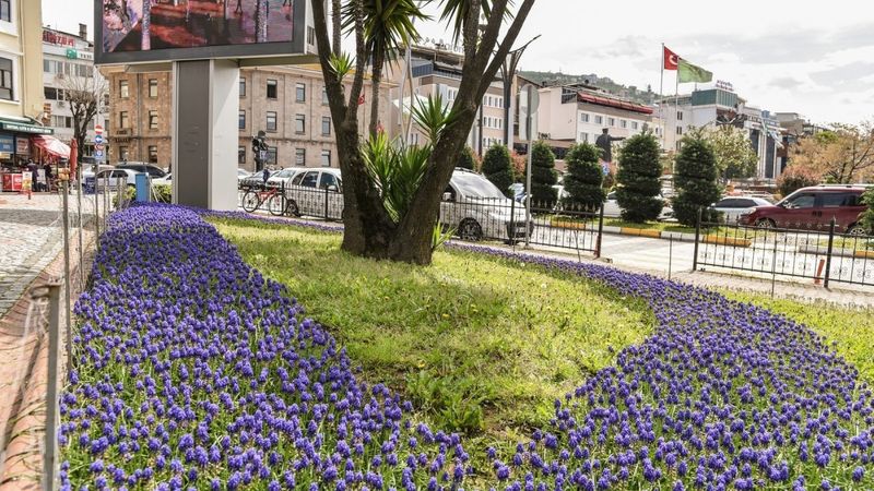 Giresun lale, nergis ve sümbüller ile renklendi