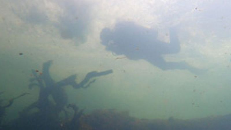 Dalış yapılan Düden'de hiç balık kalmadı