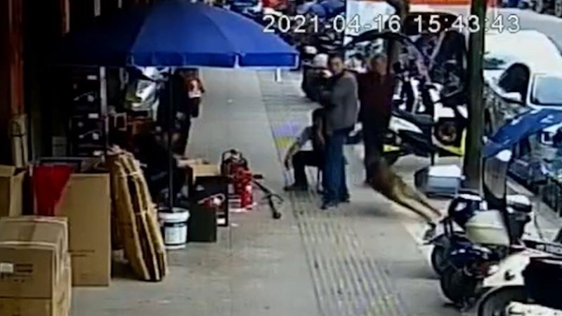 Çin’de yaban domuzları şehre indi