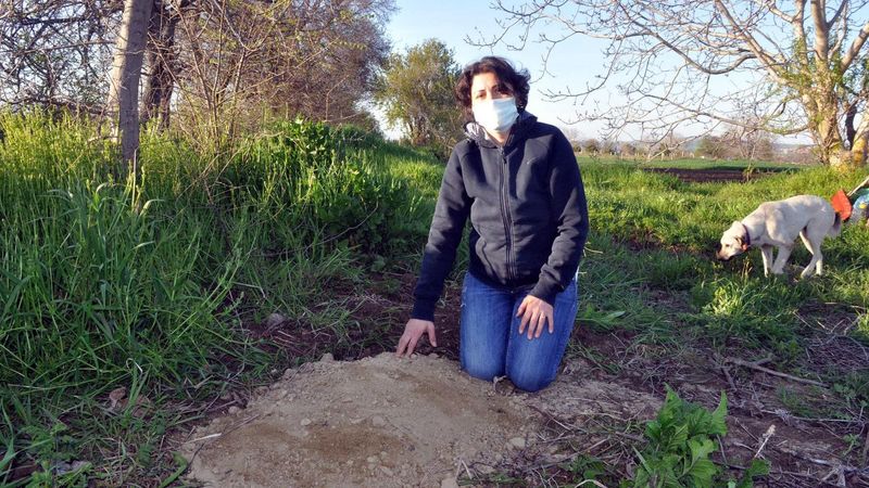 Tekirdağ'da baktığı sokak köpekleri vuruldu