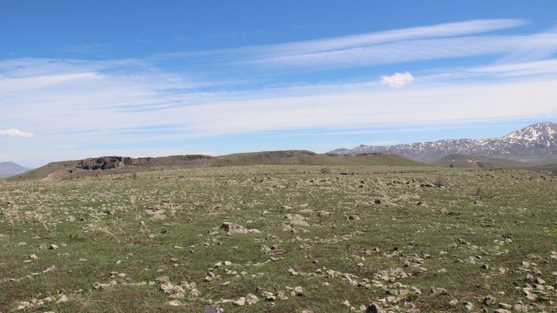 Erzurumlular rüzgarı dinmeyen Nene Hatun kırsalına türbin talep etti