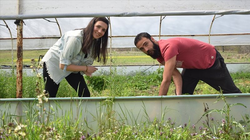 Kocaeli'de genç girişimci, tarıma kazandırdığı arazide 20 kişiyi iş sahibi yaptı