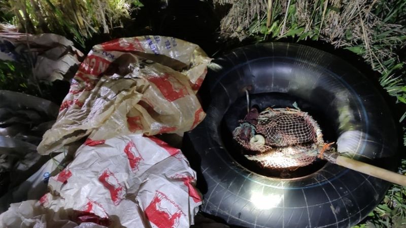 Van’da kaçak inci kefali avına ceza