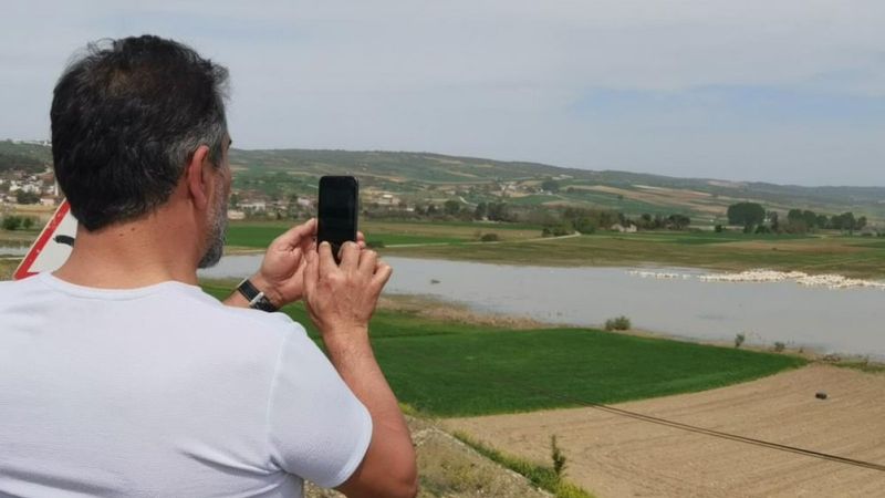 Bursa'ya gelen pelikanlar görenlerin ilgisini çekti