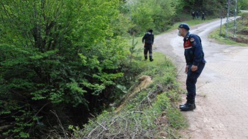 Bartın'da kaybolan yaşlı adamı arama çalışmaları devam ediyor