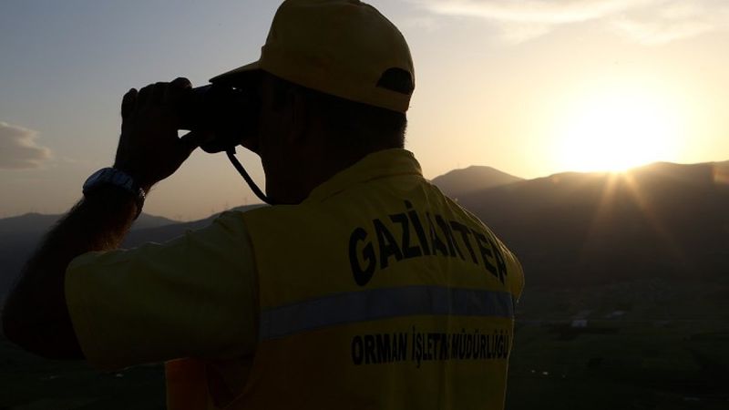 Gaziantep'te 1150 rakımda gözetmenlik yapıyor