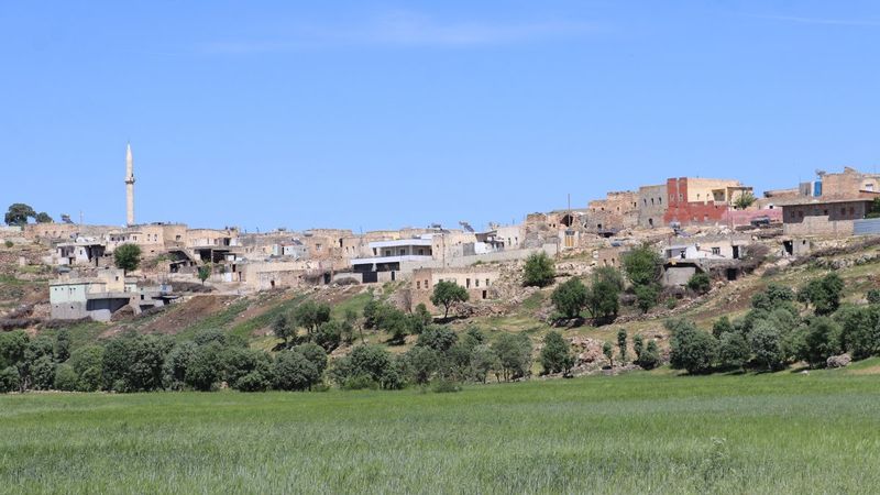 Mardin'in Pelitli Mahallesi'nde korona vakasına rastlanmadı