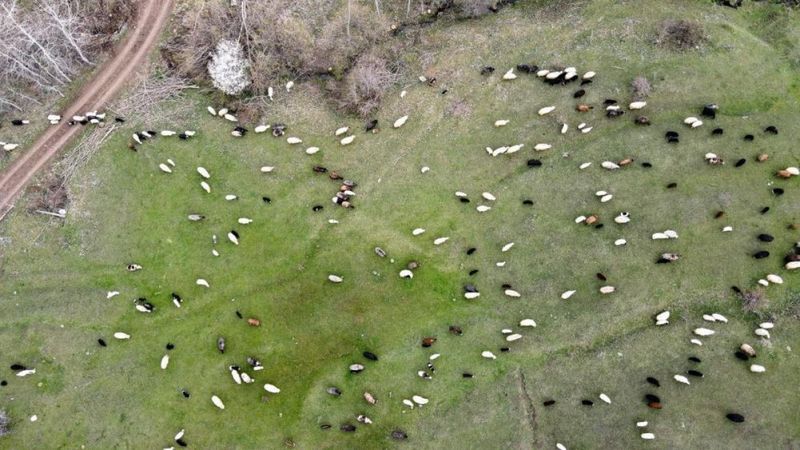 Artvin'de seyrine doyulmaz görüntüler