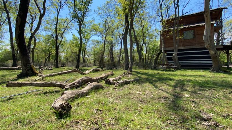 Galeriç ormanında düğün organizasyonu yapılmasına doğaseverlerden tepki
