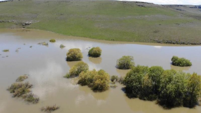 Kars'ta, ağaçların suya yansıması güzel görüntüler oluşturdu