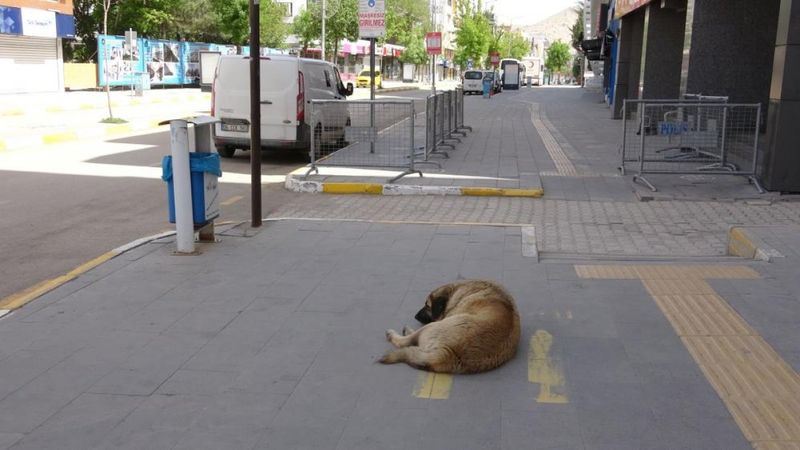 Van sokaklarında sessizlik hakim