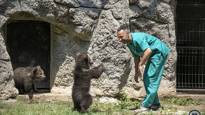 Yavru bozayılar İnci ve Güçlü, Tarsus Doğa Parkı'nın maskotu oldu