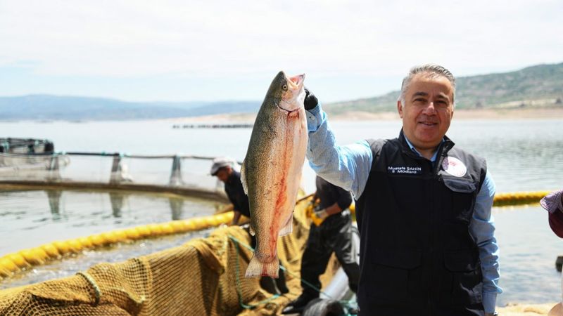 Kayseri’de yetiştirilen Türk somonu, iç ve dış piyasaya sunuluyor