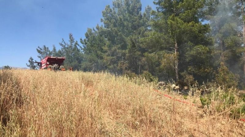 Antalya'da orman yangını