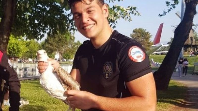 Sakarya'da polis, gölete atlayarak yaralı martıyı kurtardı