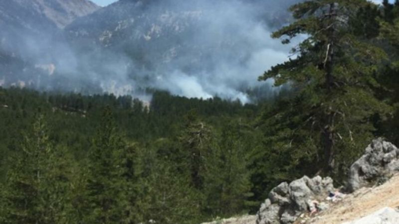 Alanya’da orman yangını: 10 dönüm alan zarar gördü