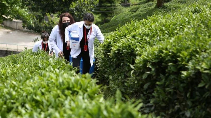 Sağlıkçıların Doğu Karadeniz'in zorlu coğrafyasındaki aşı mesaisi