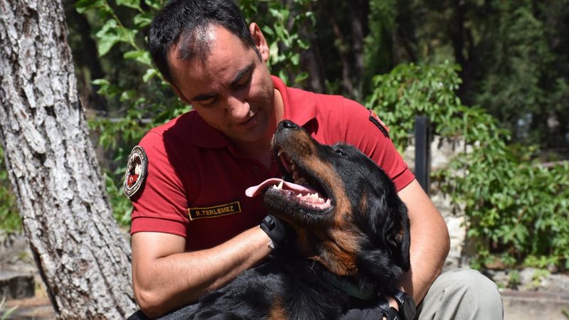 İzmir'de sahibi uyuşturucudan tutuklanan köpek, polisler tarafından eğitildi