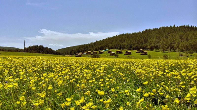 Bahara bürünen Kastamonu yaylaları ziyaretçilerini bekliyor