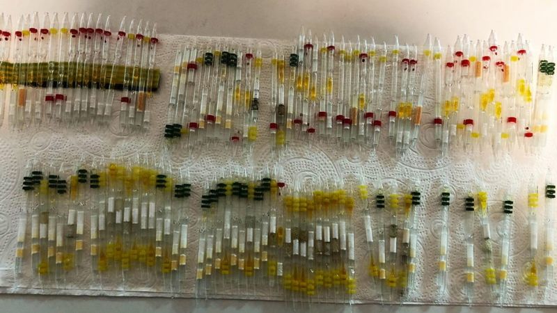 Sarp Sınır Kapısı'nda 230 tüp arı ve kobra yılanı zehri ele geçirildi