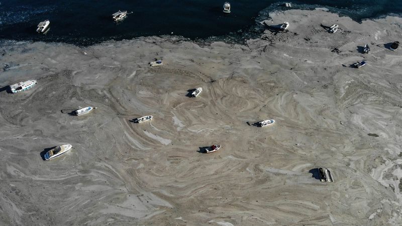 Marmara Denizi'ndeki müsilaj belası havadan görüntülendi