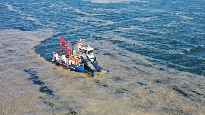 Müsilaj için yeni umut: Reaktif oksijen nedir?