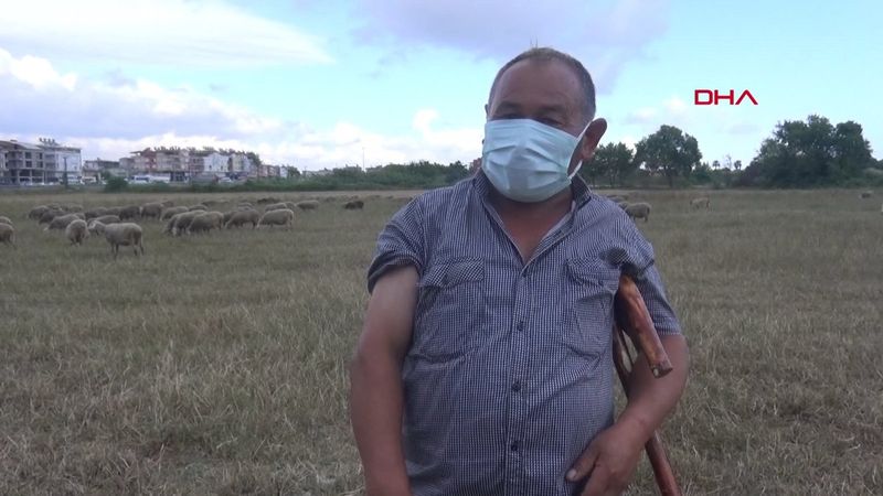 Antalya'da çoban çifte sürü başında aşı yapıldı