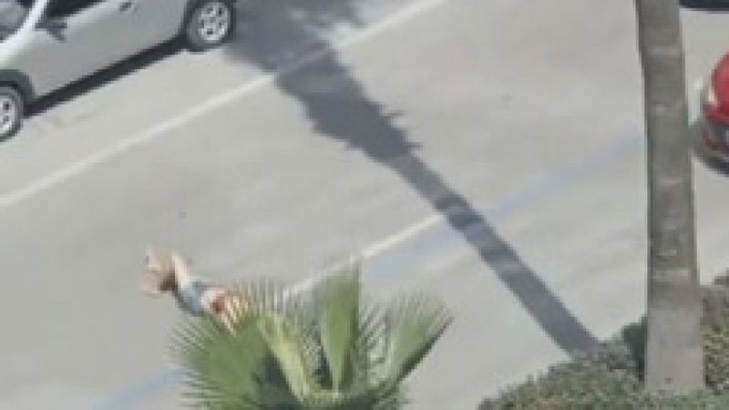 Adana'da bir kadın işlek caddenin ortasına yattı