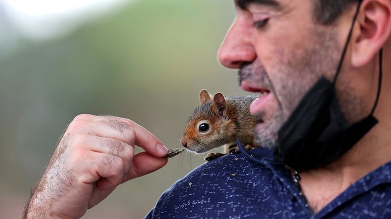 Almanya'dan Türkiye'ye geldi: Baba yadigarı sincapla İstanbul'u geziyor