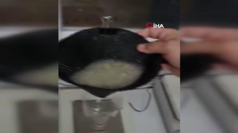 Deniz salyasının laboratuvar ortamında yakından incelenmesi