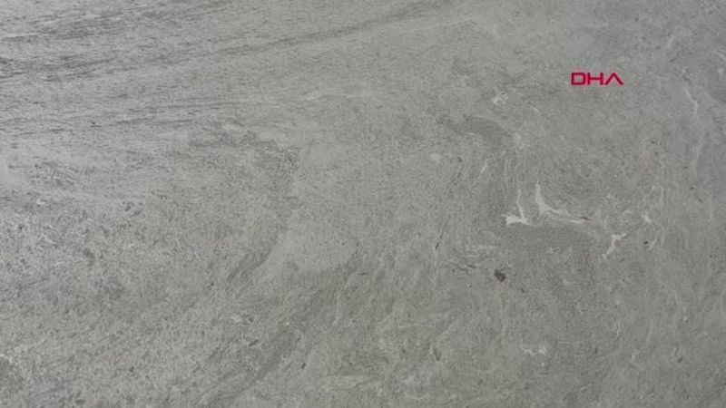 Yalova sahilleri yeniden deniz salyasıyla kaplandı