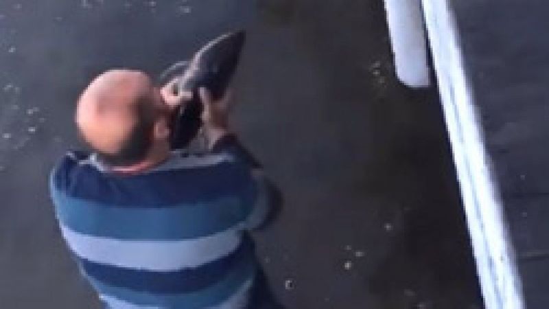 Sakarya'da gölde bulduğu yavru yunus balığını 200 metre koşarak denize bıraktı