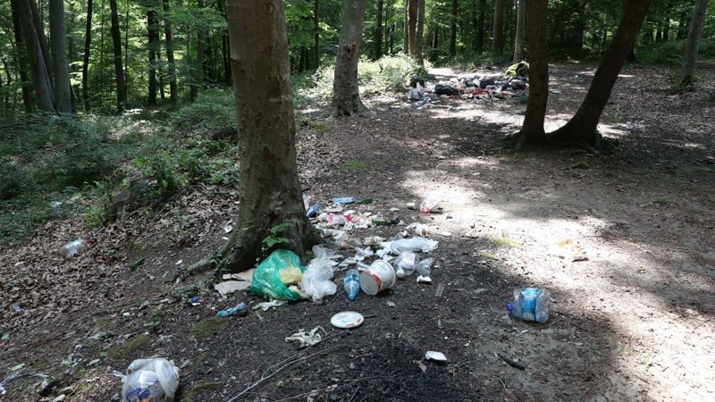 İstanbul'da piknikçiler yine ormanı çöplüğü çevirdi